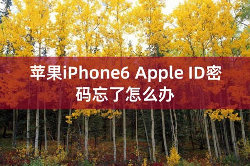 苹果iPhone6 Apple ID密码忘了怎么办