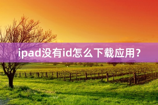 ipad没有id怎么下载应用？