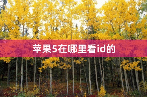 苹果5在哪里看id的