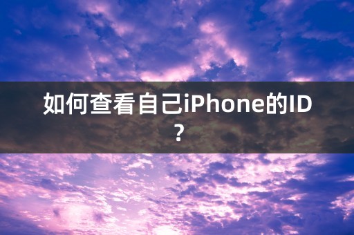 如何查看自己iPhone的ID？