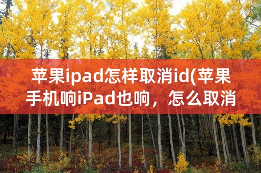 苹果ipad怎样取消id(苹果手机响iPad也响，怎么取消)