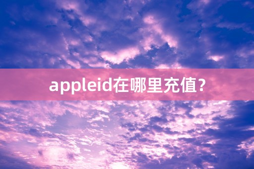 appleid在哪里充值？