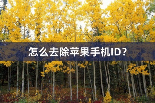 怎么去除苹果手机ID？