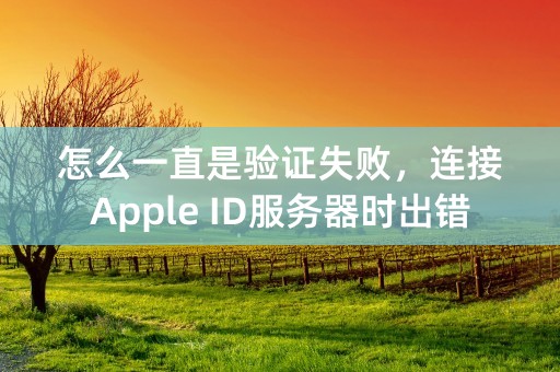 怎么一直是验证失败，连接Apple ID服务器时出错