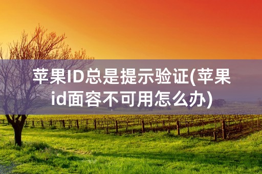 苹果ID总是提示验证(苹果id面容不可用怎么办)