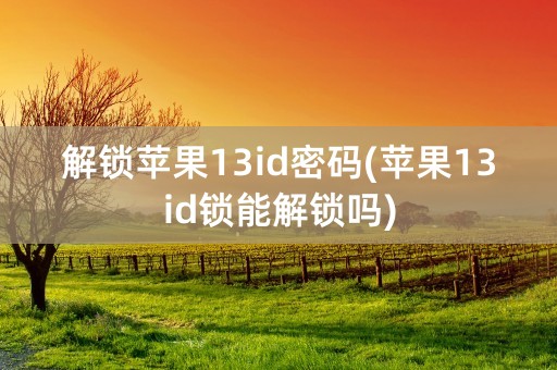 解锁苹果13id密码(苹果13id锁能解锁吗)