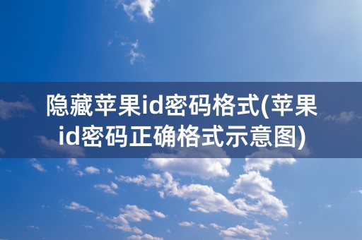 隐藏苹果id密码格式(苹果id密码正确格式示意图)