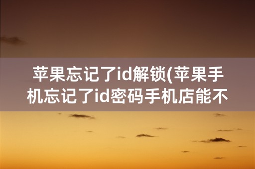 苹果忘记了id解锁(苹果手机忘记了id密码手机店能不能解锁)