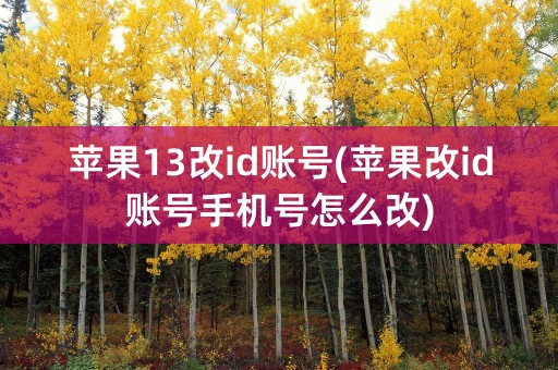 苹果13改id账号(苹果改id账号手机号怎么改)