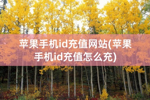 苹果手机id充值网站(苹果手机id充值怎么充)