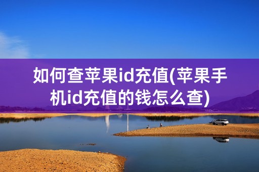 如何查苹果id充值(苹果手机id充值的钱怎么查)