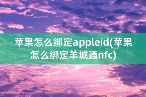 苹果怎么绑定appleid(苹果怎么绑定羊城通nfc)