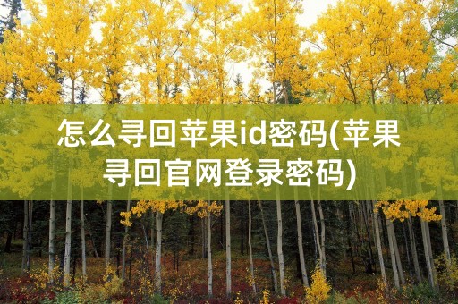 怎么寻回苹果id密码(苹果寻回官网登录密码)