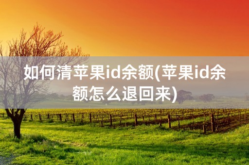 如何清苹果id余额(苹果id余额怎么退回来)