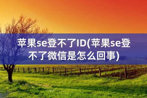 苹果se登不了ID(苹果se登不了微信是怎么回事)