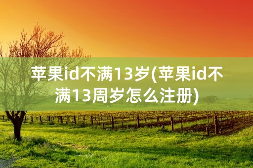 苹果id不满13岁(苹果id不满13周岁怎么注册)