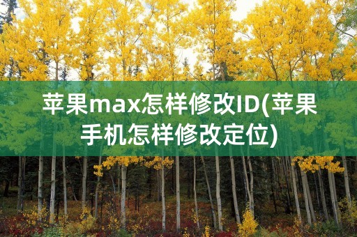 苹果max怎样修改ID(苹果手机怎样修改定位)