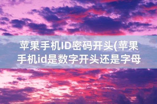 苹果手机ID密码开头(苹果手机id是数字开头还是字母)