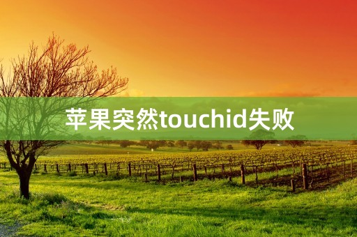 苹果突然touchid失败