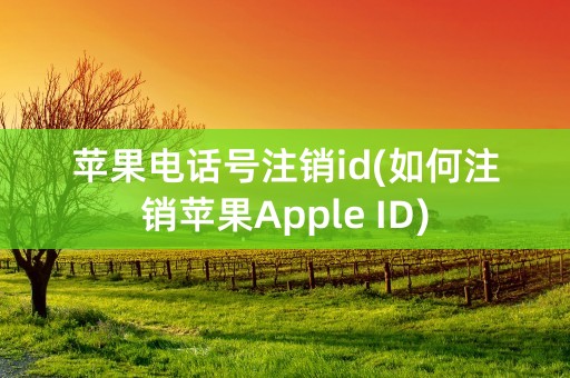 苹果电话号注销id(如何注销苹果Apple ID)