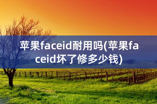 苹果faceid耐用吗(苹果faceid坏了修多少钱)