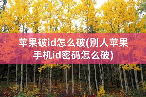 苹果破id怎么破(别人苹果手机id密码怎么破)