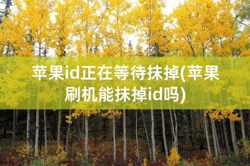 苹果id正在等待抹掉(苹果刷机能抹掉id吗)