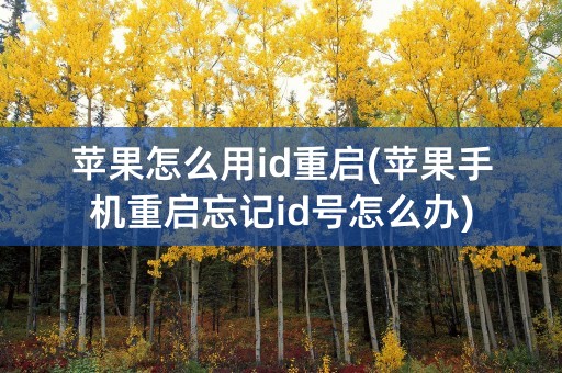 苹果怎么用id重启(苹果手机重启忘记id号怎么办)