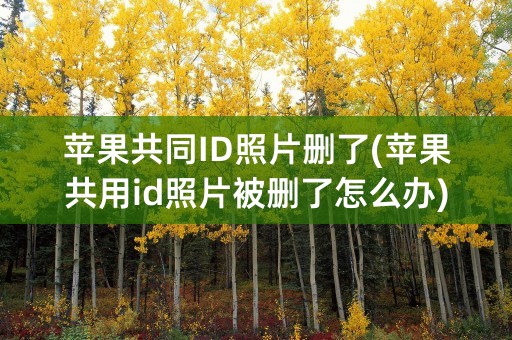 苹果共同ID照片删了(苹果共用id照片被删了怎么办)