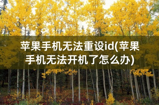 苹果手机无法重设id(苹果手机无法开机了怎么办)