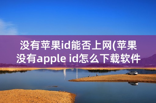 没有苹果id能否上网(苹果没有apple id怎么下载软件)