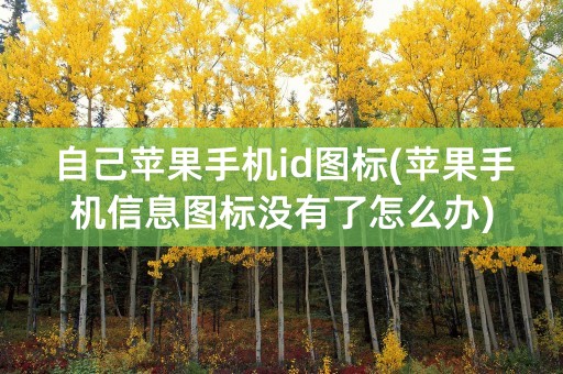 自己苹果手机id图标(苹果手机信息图标没有了怎么办)