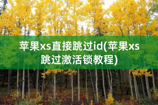 苹果xs直接跳过id(苹果xs跳过激活锁教程)