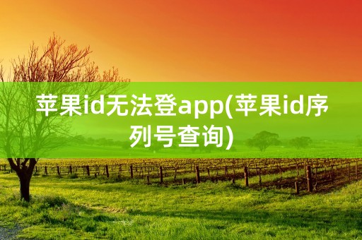 苹果id无法登app(苹果id序列号查询)