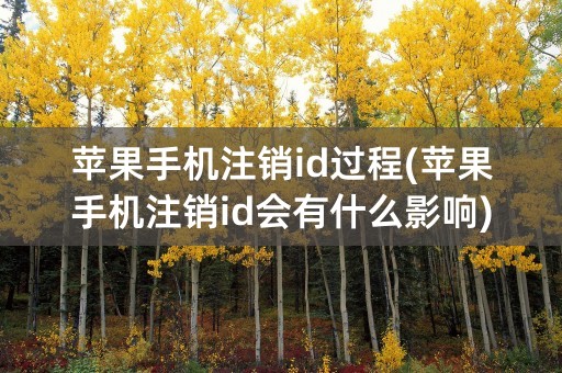 苹果手机注销id过程(苹果手机注销id会有什么影响)