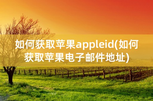 如何获取苹果appleid(如何获取苹果电子邮件地址)