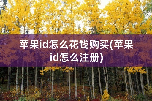 苹果id怎么花钱购买(苹果id怎么注册)