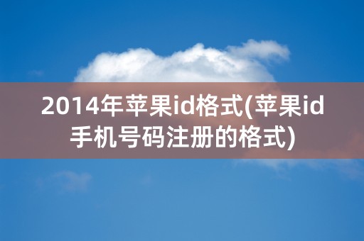 2014年苹果id格式(苹果id手机号码注册的格式)