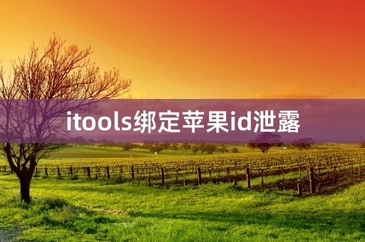 itools绑定苹果id泄露