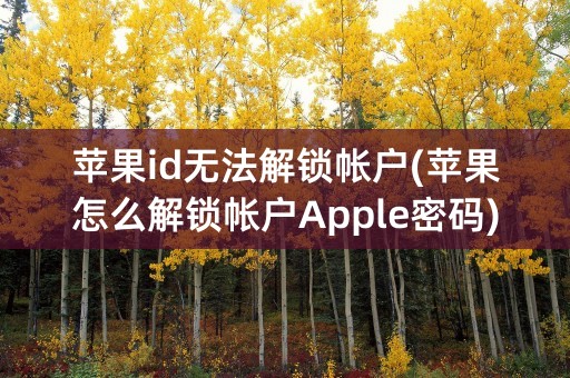 苹果id无法解锁帐户(苹果怎么解锁帐户Apple密码)