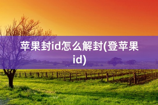 苹果封id怎么解封(登苹果id)