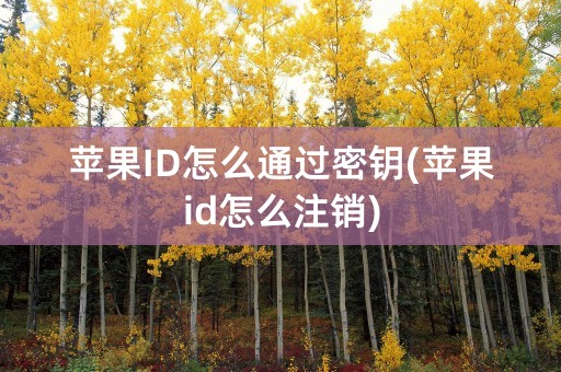 苹果ID怎么通过密钥(苹果id怎么注销)