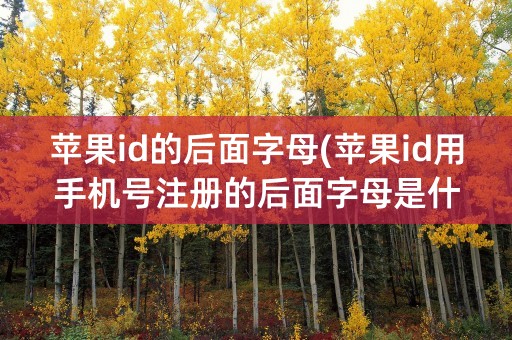 苹果id的后面字母(苹果id用手机号注册的后面字母是什么)