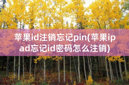 苹果id注销忘记pin(苹果ipad忘记id密码怎么注销)