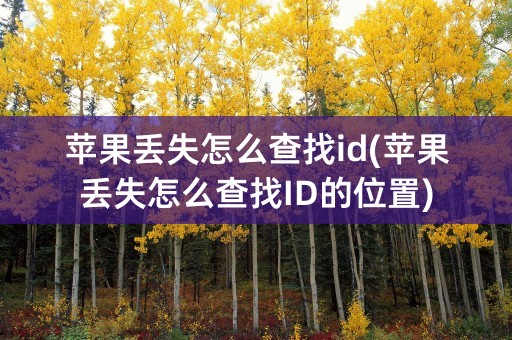 苹果丢失怎么查找id(苹果丢失怎么查找ID的位置)