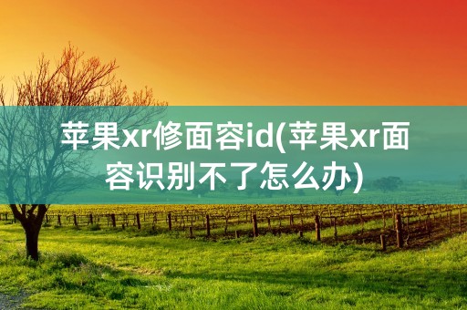 苹果xr修面容id(苹果xr面容识别不了怎么办)