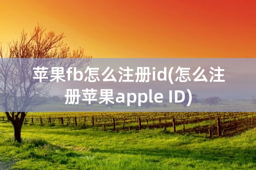 苹果fb怎么注册id(怎么注册苹果apple ID)