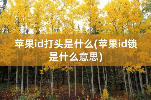 苹果id打头是什么(苹果id锁是什么意思)