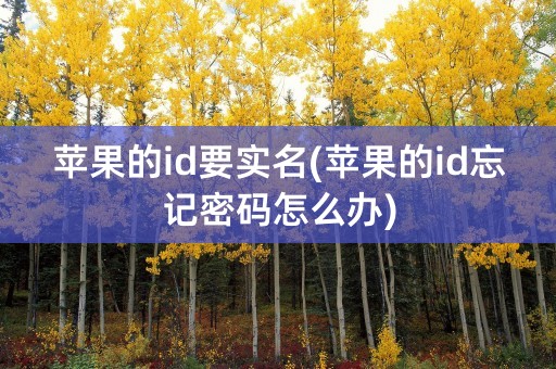 苹果的id要实名(苹果的id忘记密码怎么办)