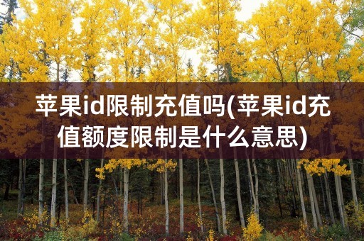 苹果id限制充值吗(苹果id充值额度限制是什么意思)